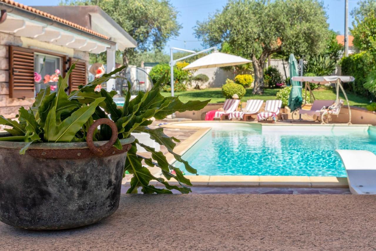 Villa Sunflower ألغيرو المظهر الخارجي الصورة