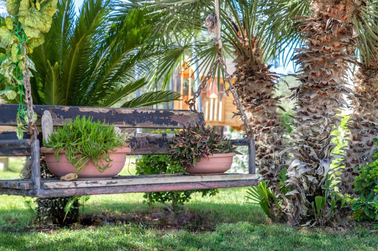 Villa Sunflower ألغيرو المظهر الخارجي الصورة